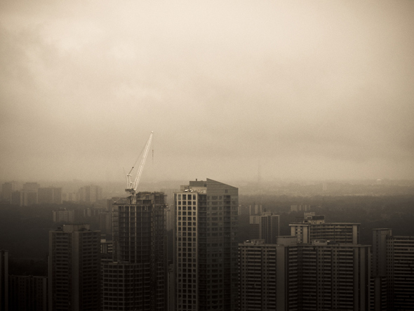City Mist