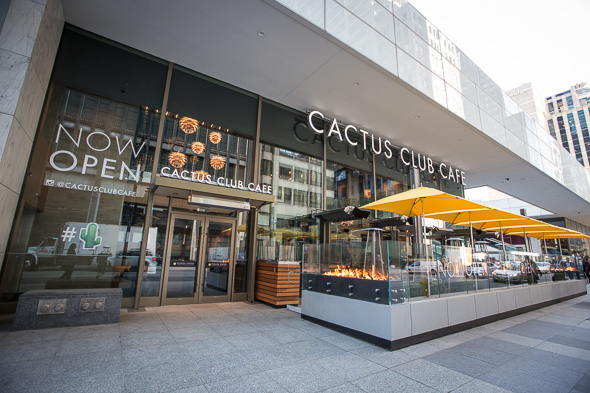 Cactus Club Toronto - blogTO - Toronto