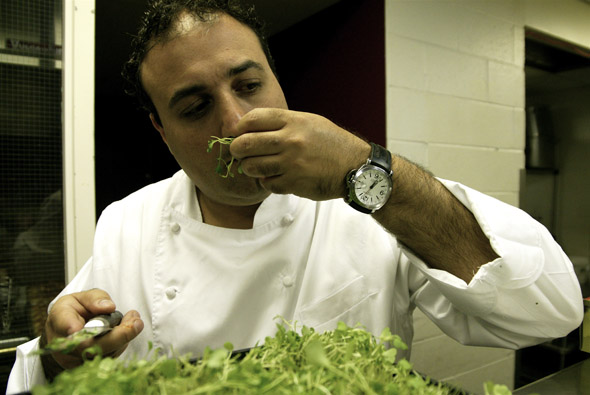 Executive Chef Stephen Ricci smells the arugula to ensure its freshness during the Transformation party at the Windsor Arms Hotel