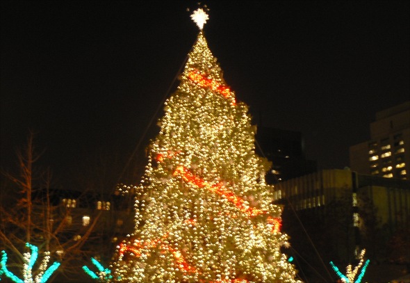City Hall Tree