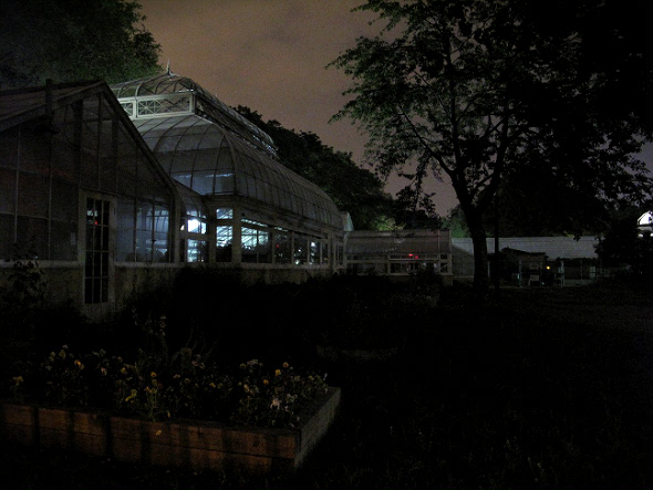 Back of the Greenhouses
