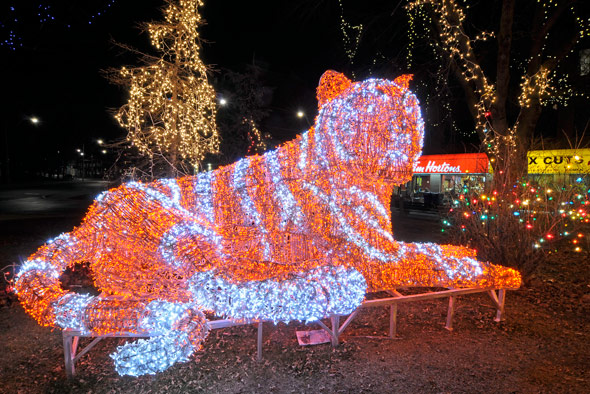 Tiger Lights at Christie and Bloor