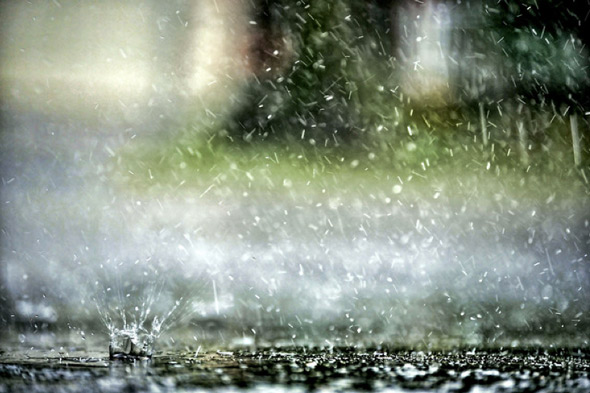 20100916-rain_chewie_puddle.jpg
