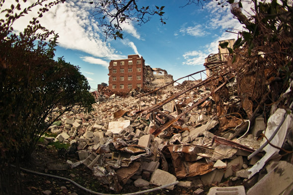 Toronto Apartment Demolition Nature