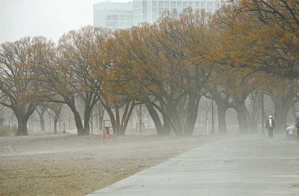 201147-fog-boardwalk.jpg