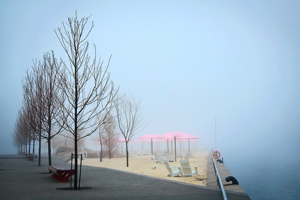 201148-fog-ferri.jpg