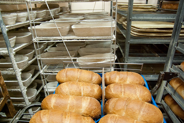 Ontario Bread Co