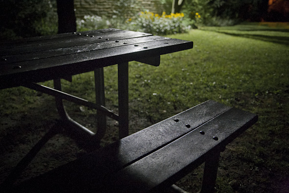 High Park picnic table toronto