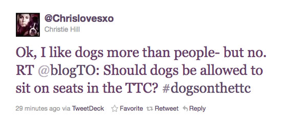 Dogs TTC