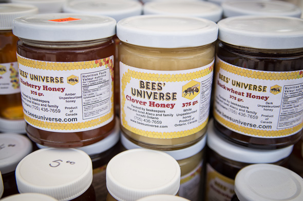 Bees Universe